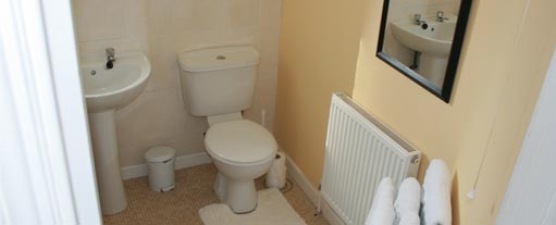 An image of a modern freshly renovated bathroom containing a shower, sink and toilet.
